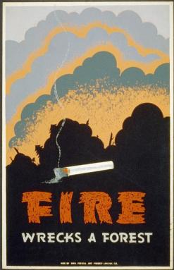 A poster of a forest fire and a cigarette, with the words "Fire wrecks a forest."