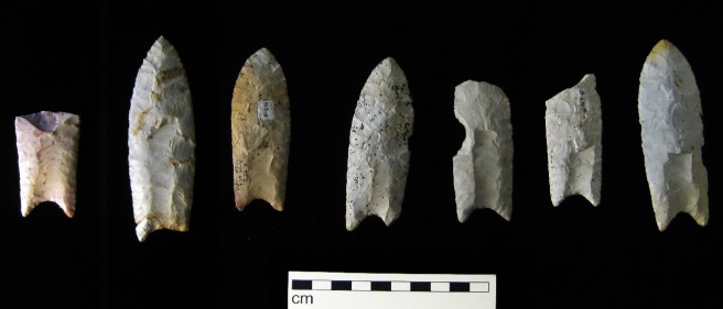 Clovis points from the Rummells-Maske Site, 13CD15, Cedar County, Iowa, from the Iowa Office of the State Archaeologist collection. CC-BY-SA-3.0; Released under the GNU Free Documentation License.